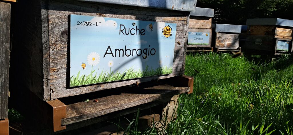 La ruche Ambrogio