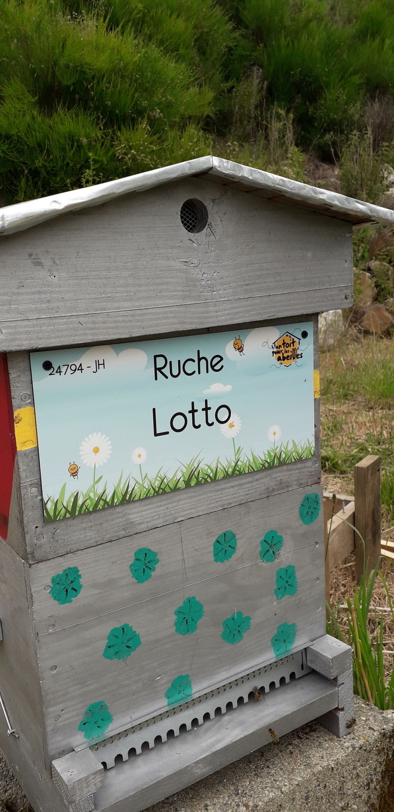La ruche
