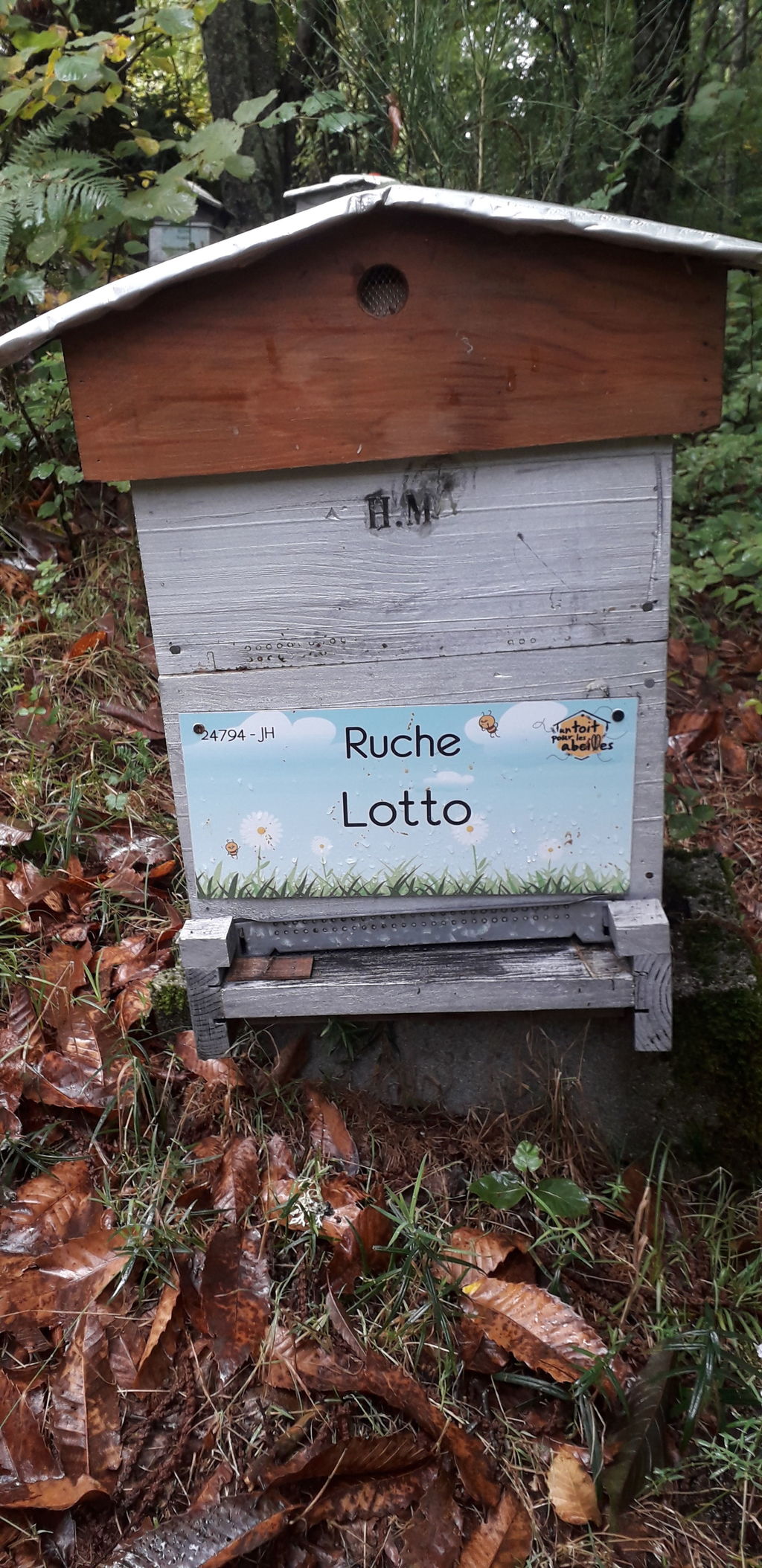La ruche Lotto