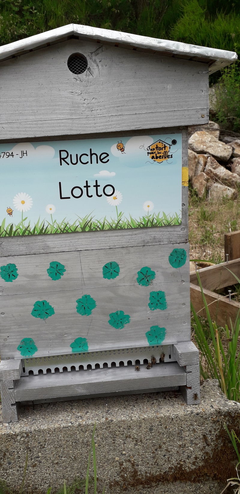 La ruche Lotto