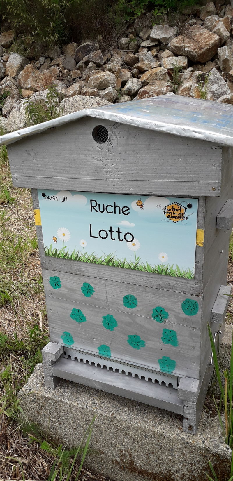 La ruche Lotto