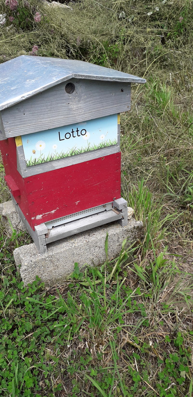 La ruche Lotto