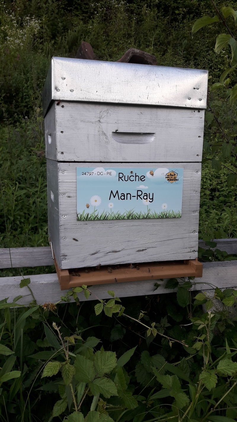 La ruche Man-Ray