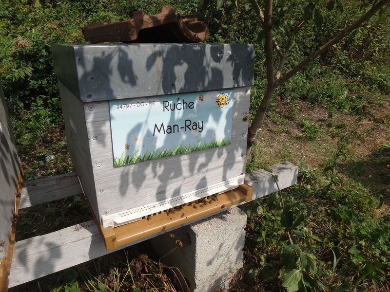 La ruche Man-Ray