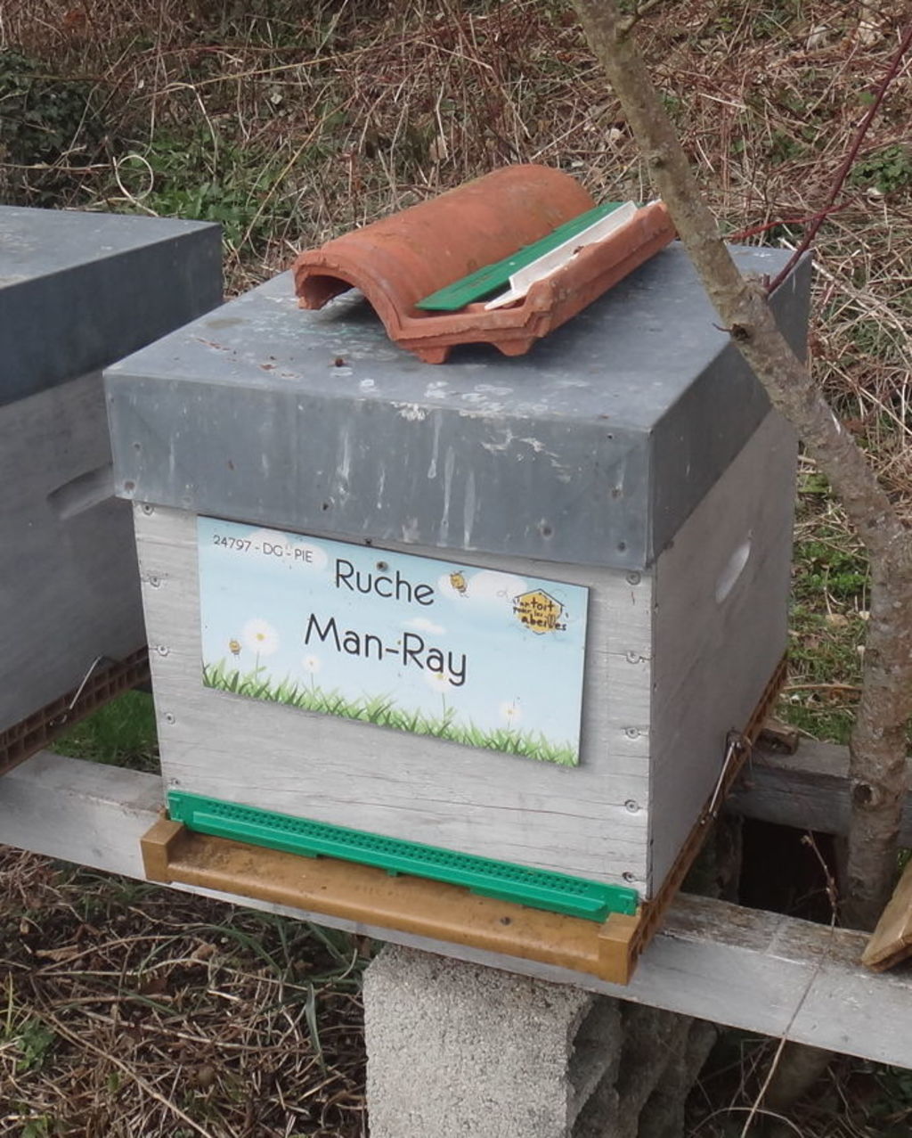 La ruche Man-Ray