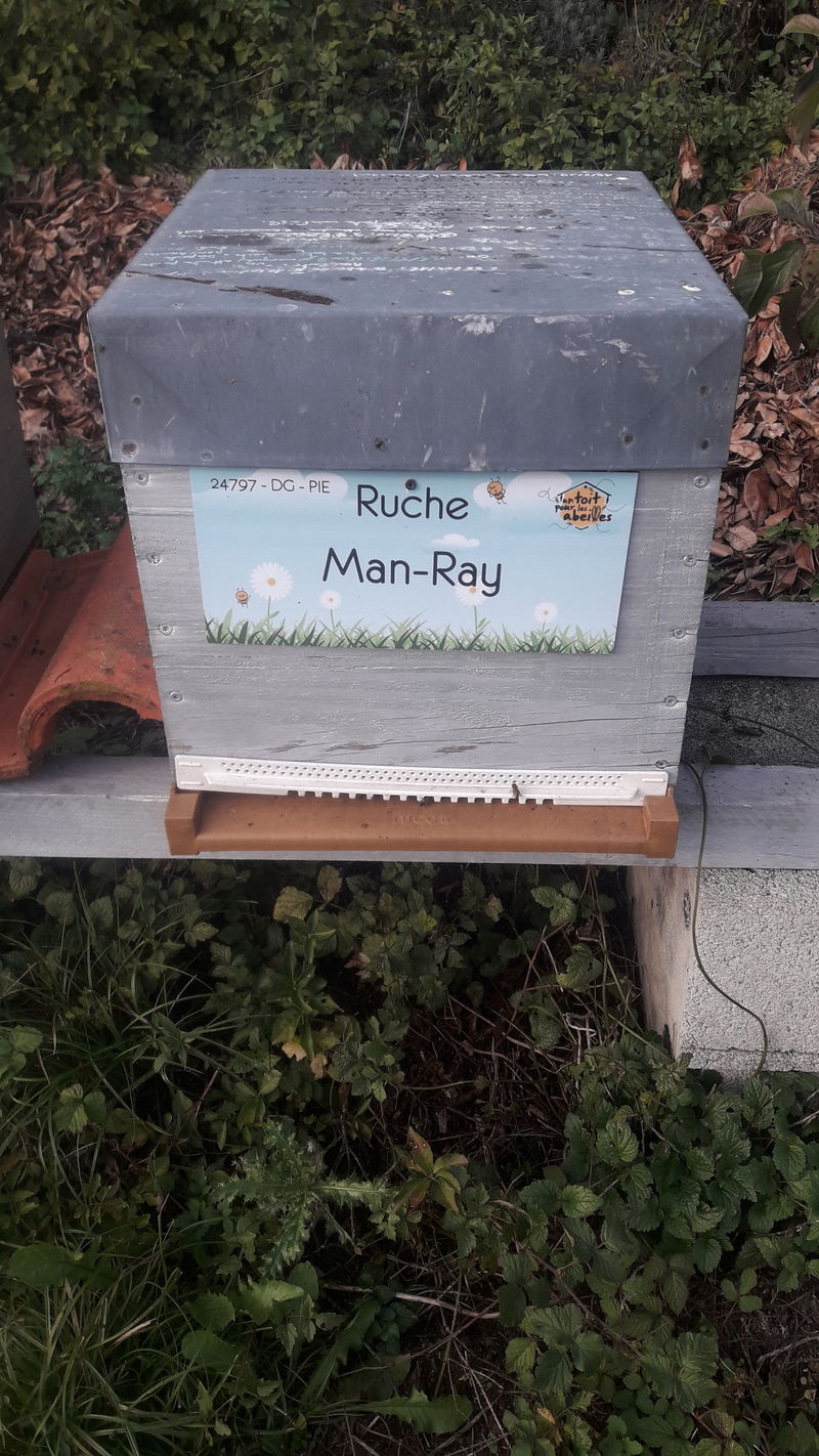 La ruche Man-Ray