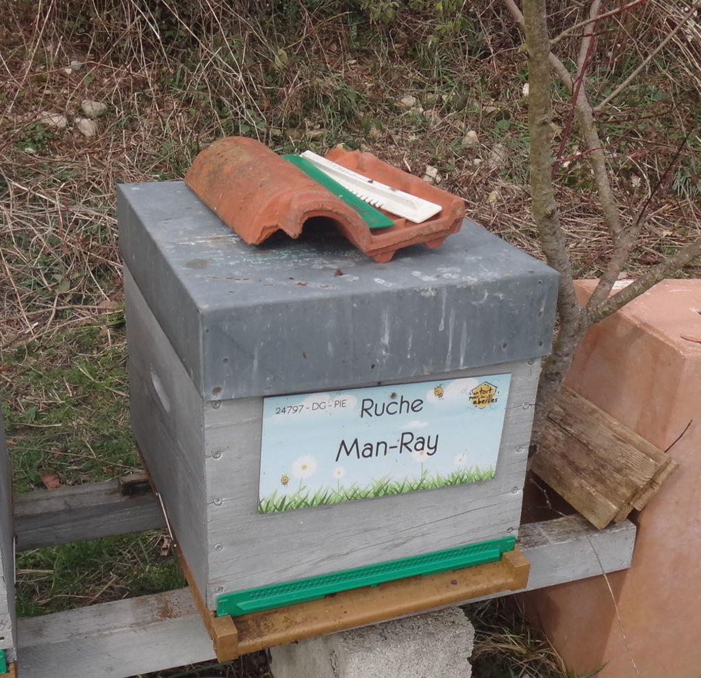 La ruche Man-Ray