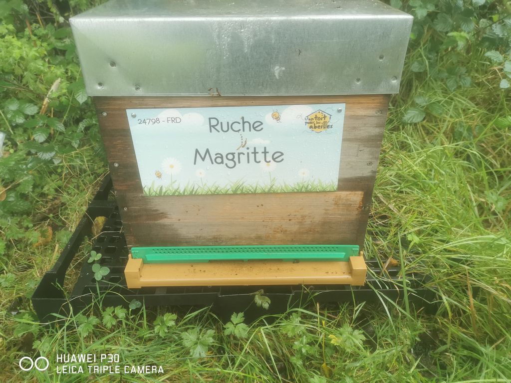 La ruche Magritte