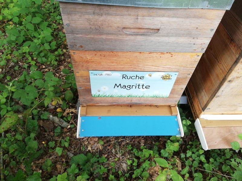 La ruche Magritte