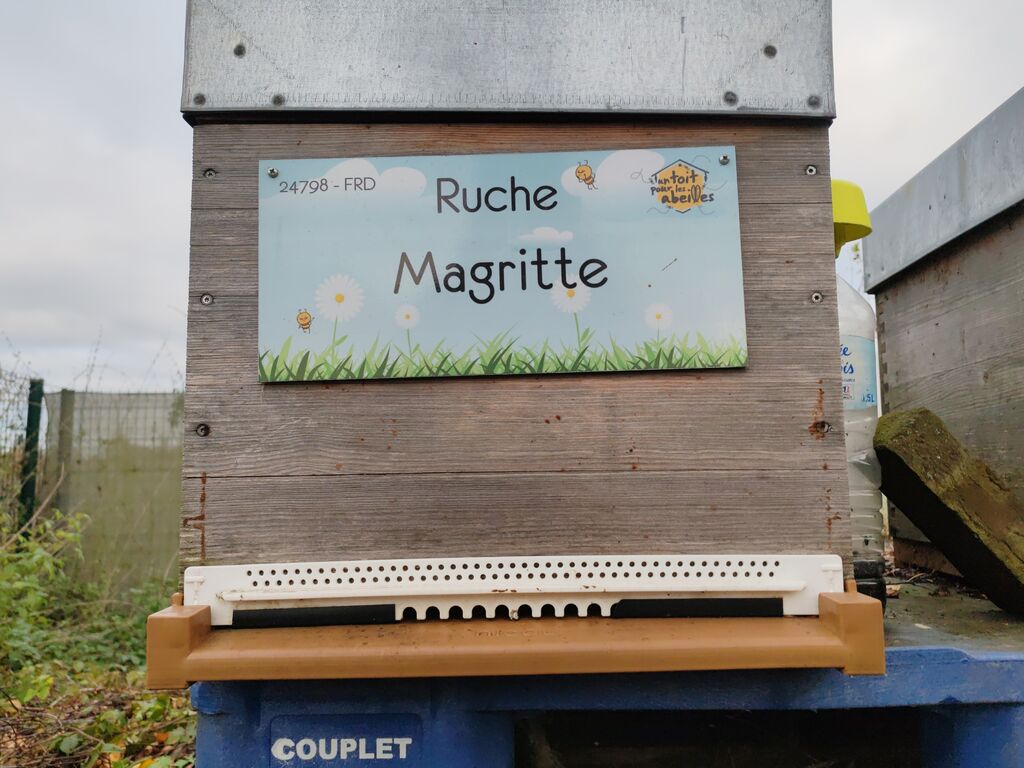 La ruche Magritte