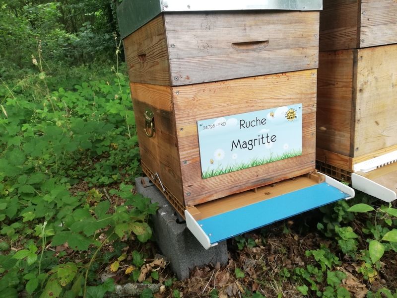 La ruche Magritte