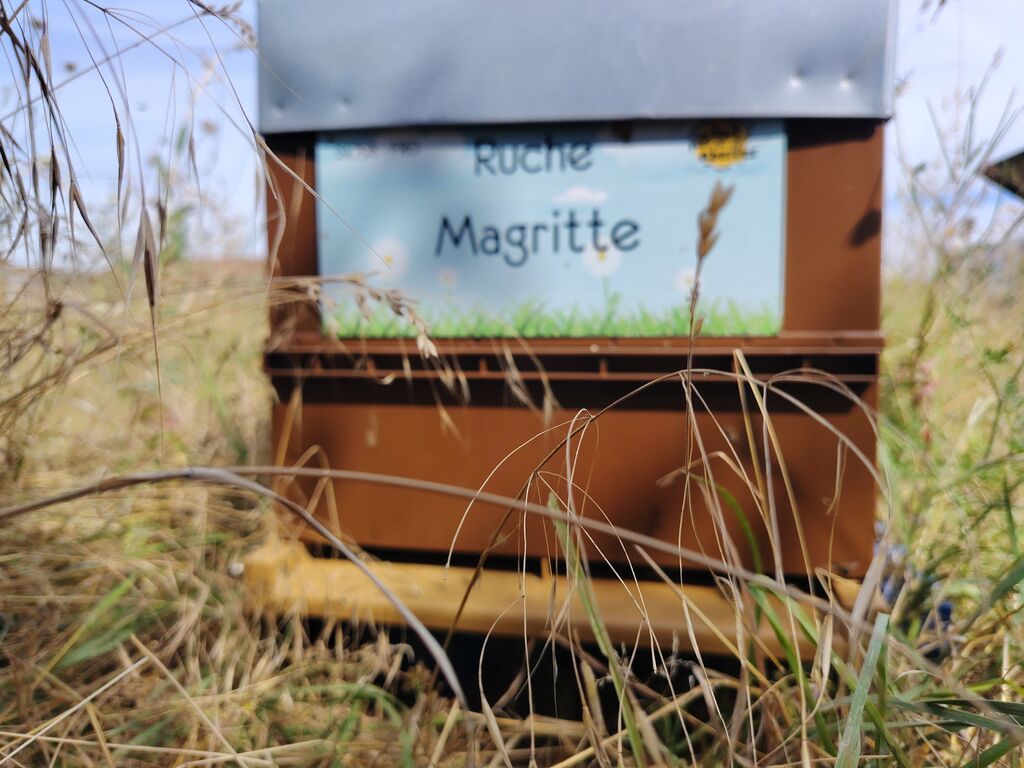 La ruche Magritte
