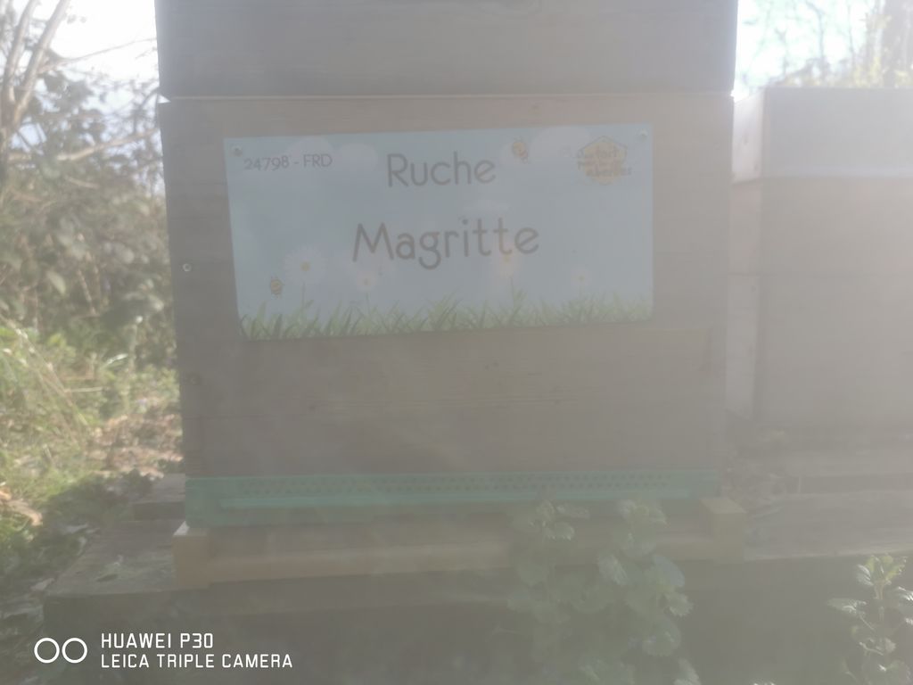 La ruche Magritte