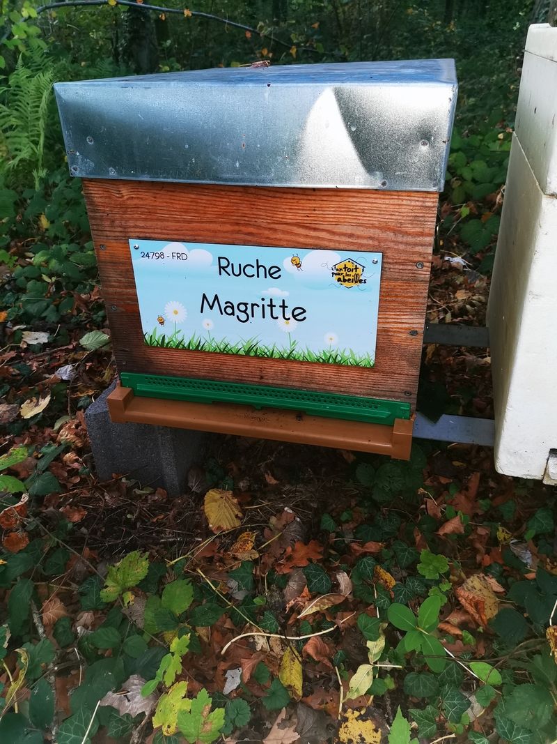 La ruche Magritte