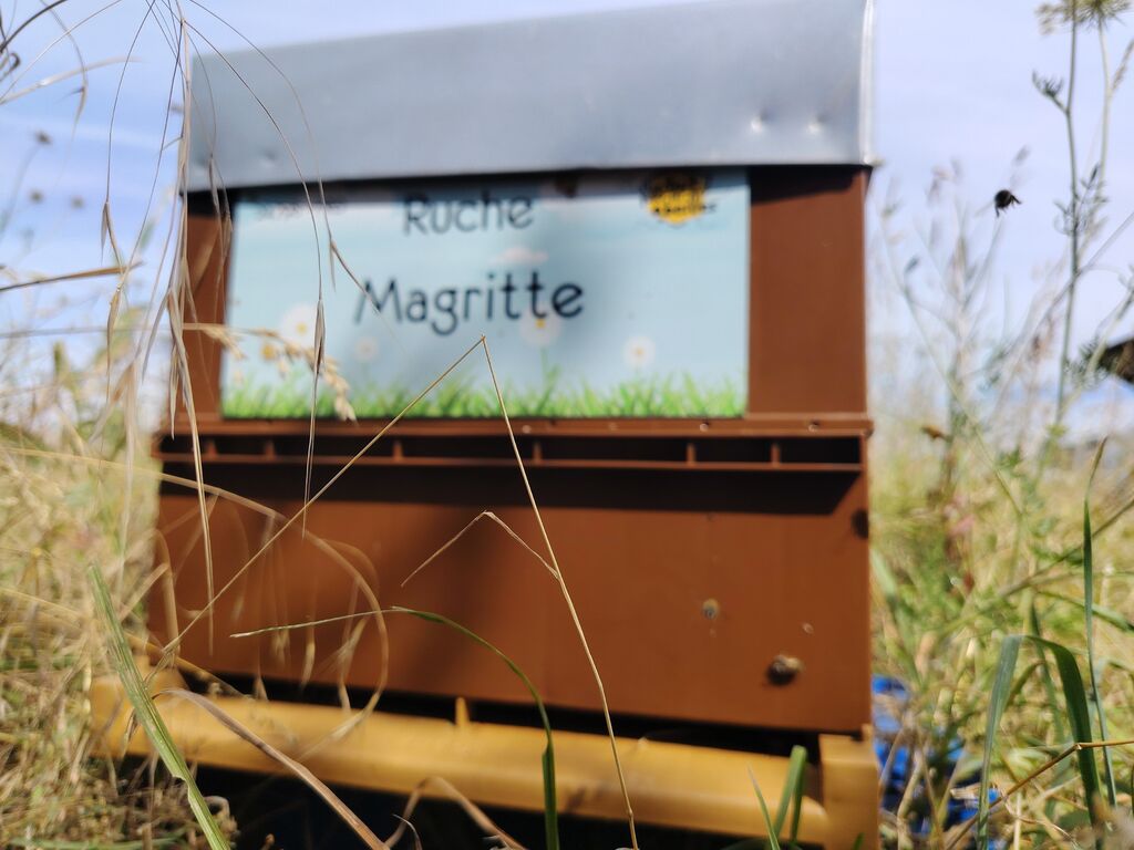 La ruche Magritte