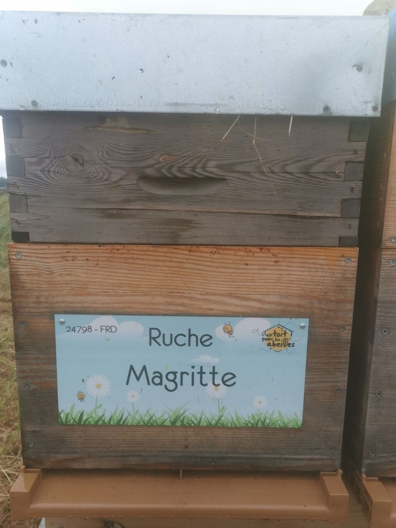La ruche Magritte