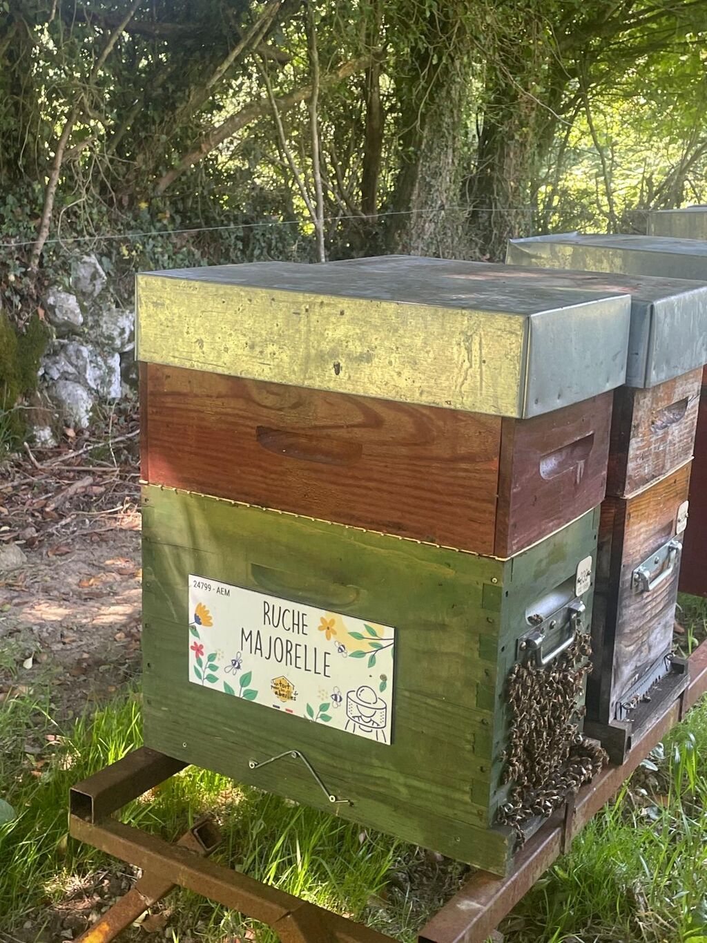 La ruche Majorelle