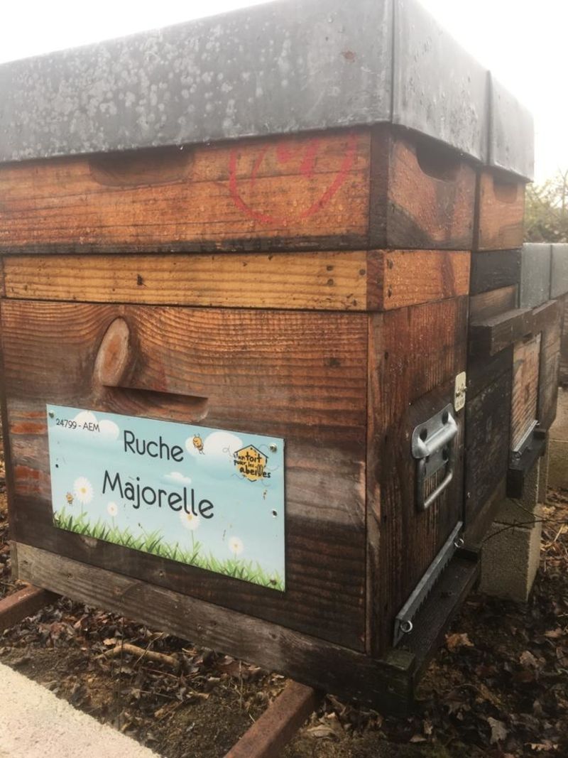 La ruche Majorelle