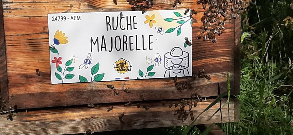 La ruche Majorelle