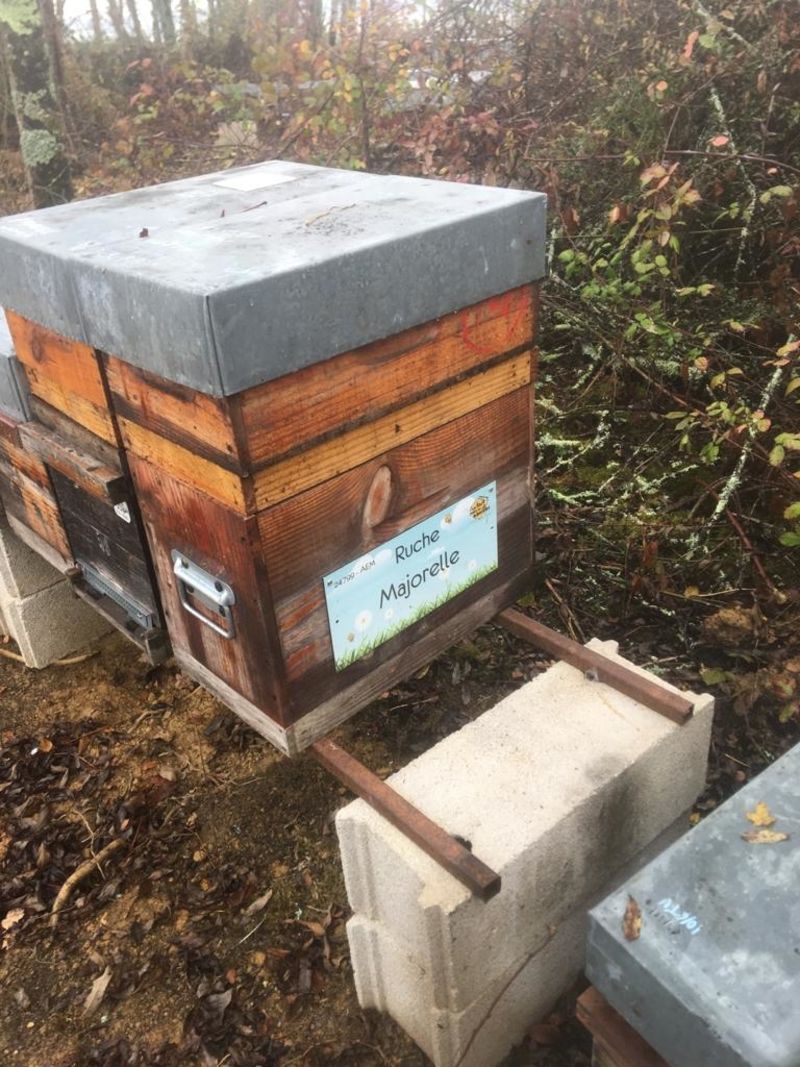 La ruche Majorelle
