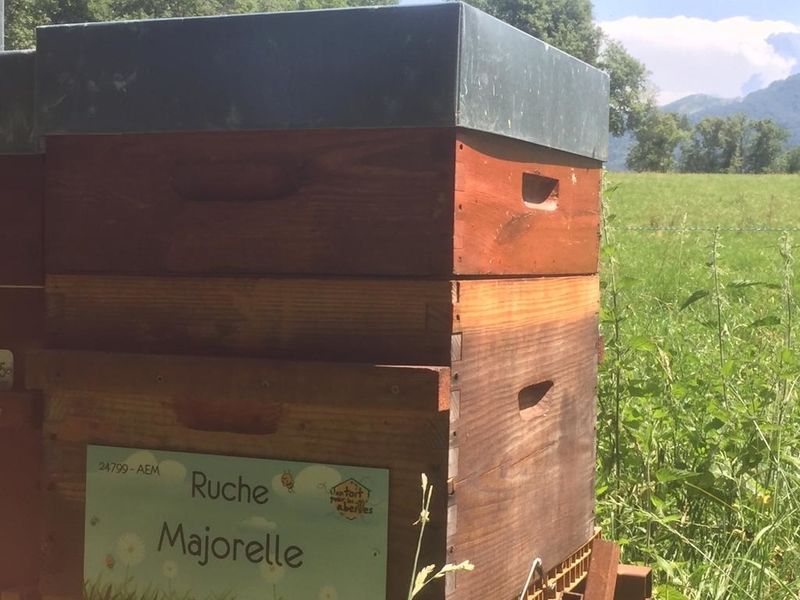 La ruche Majorelle