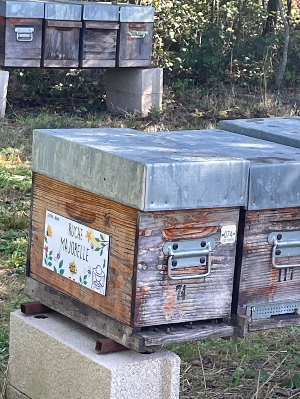 La ruche Majorelle