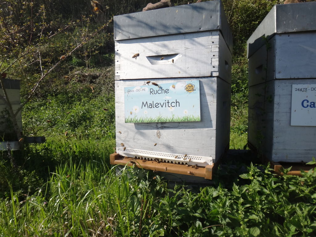 La ruche Malevitch