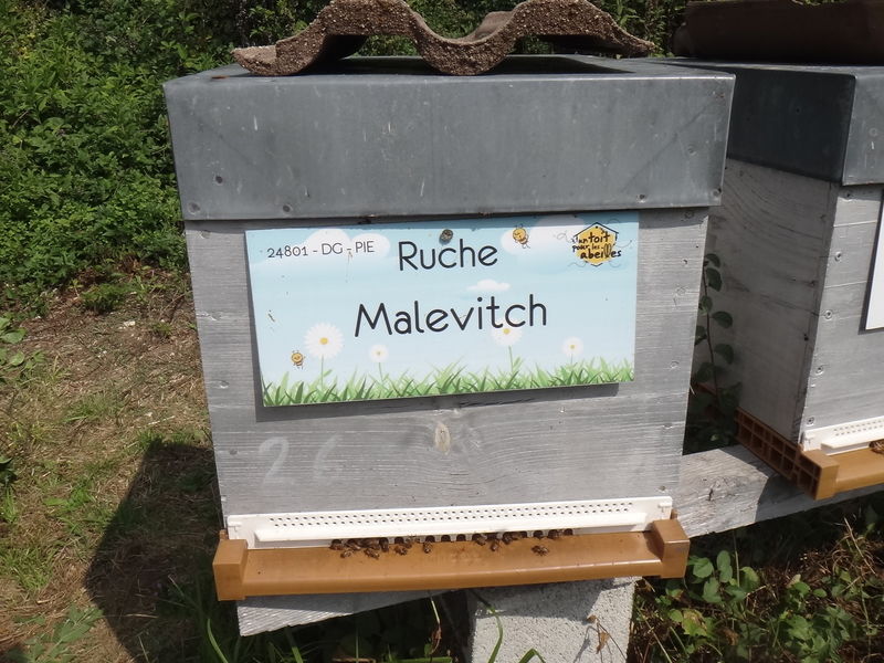 La ruche Malevitch