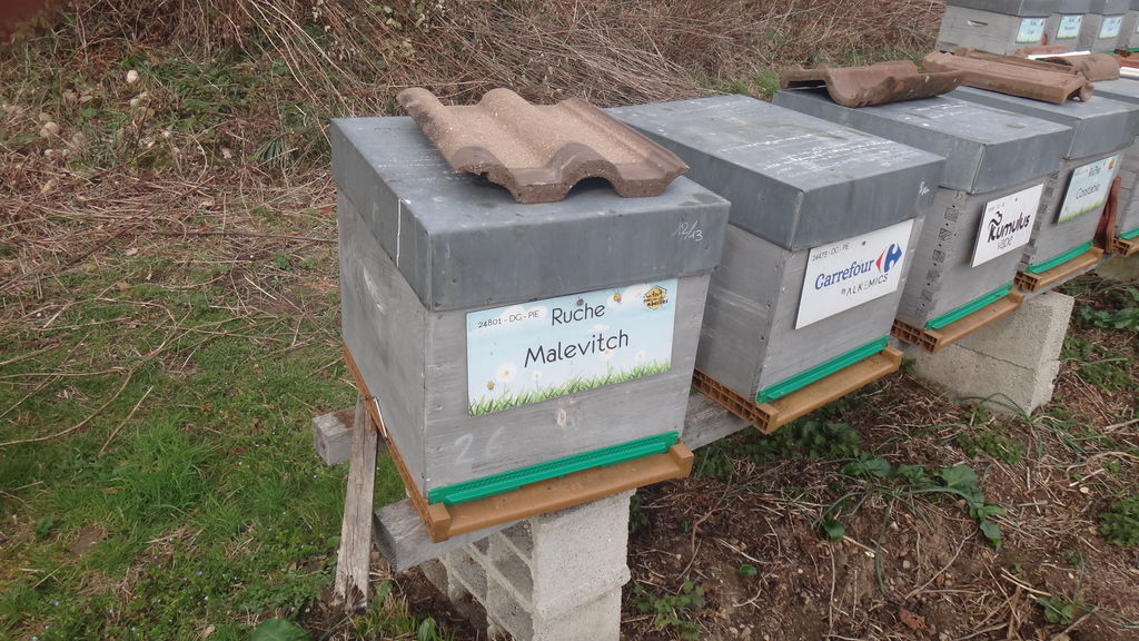 La ruche Malevitch