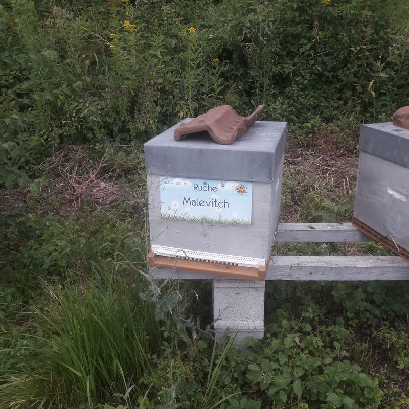 La ruche Malevitch