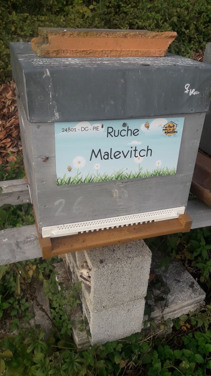 La ruche