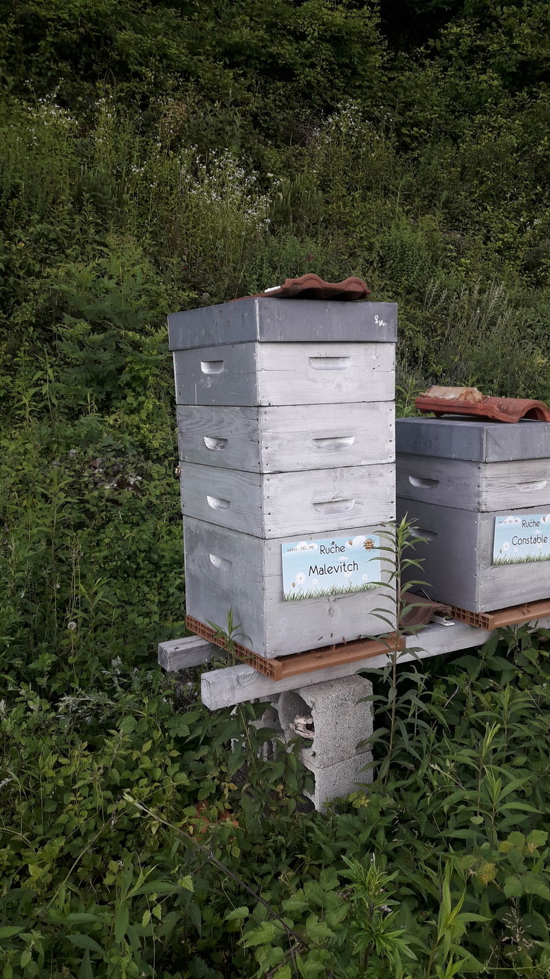 La ruche Malevitch