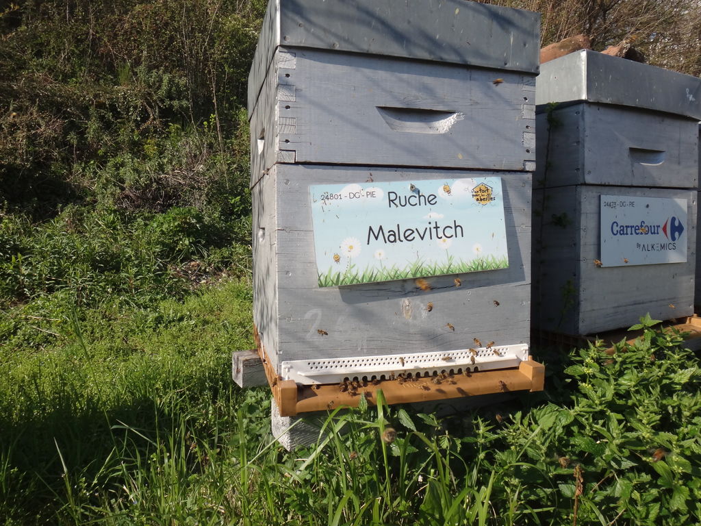 La ruche Malevitch