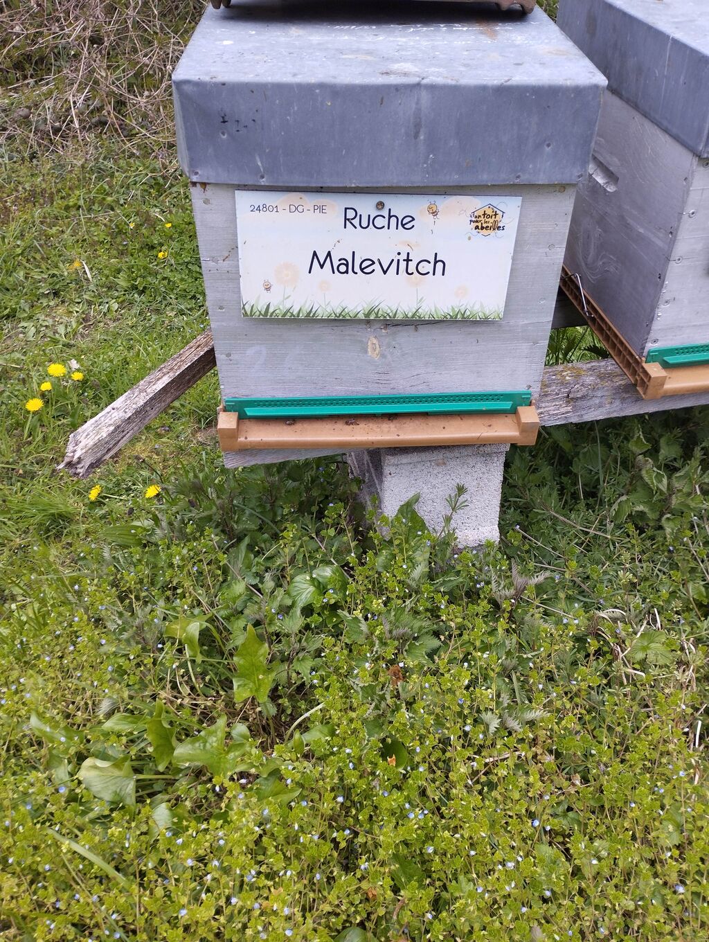 La ruche Malevitch