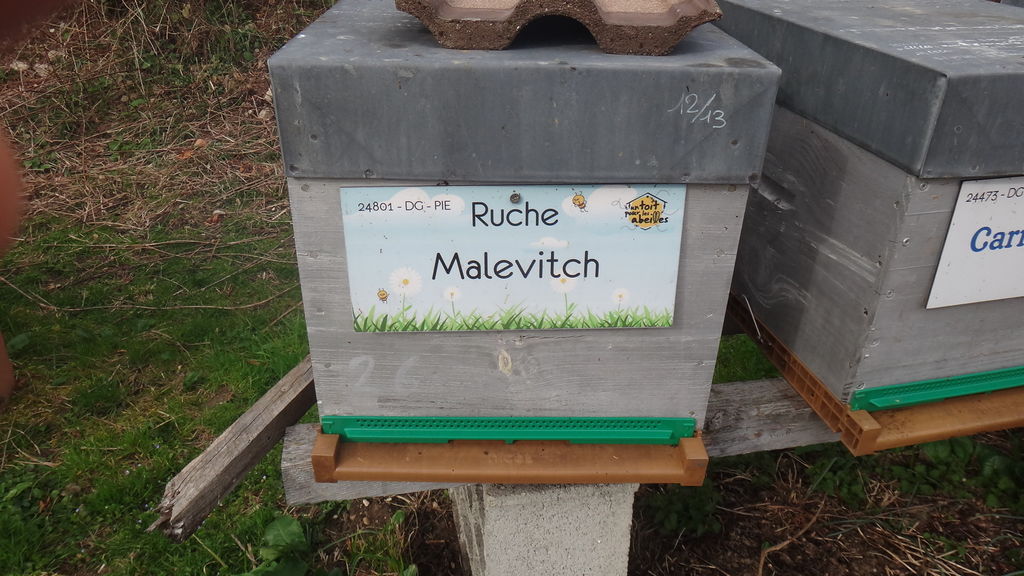 La ruche Malevitch