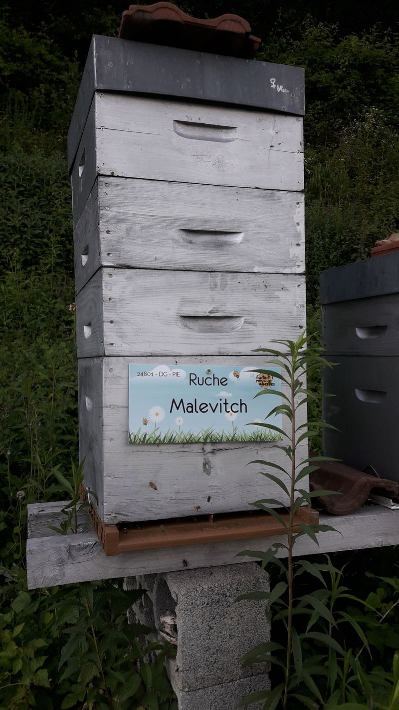 La ruche Malevitch