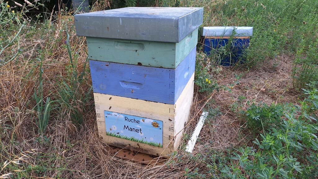 La ruche Manet