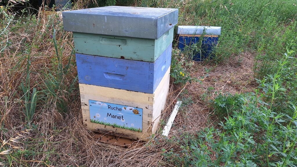 La ruche Manet
