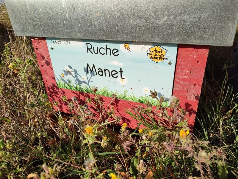 La ruche Manet