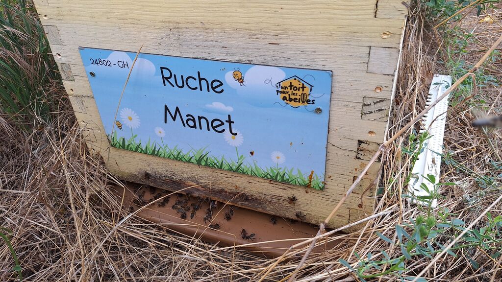 La ruche Manet