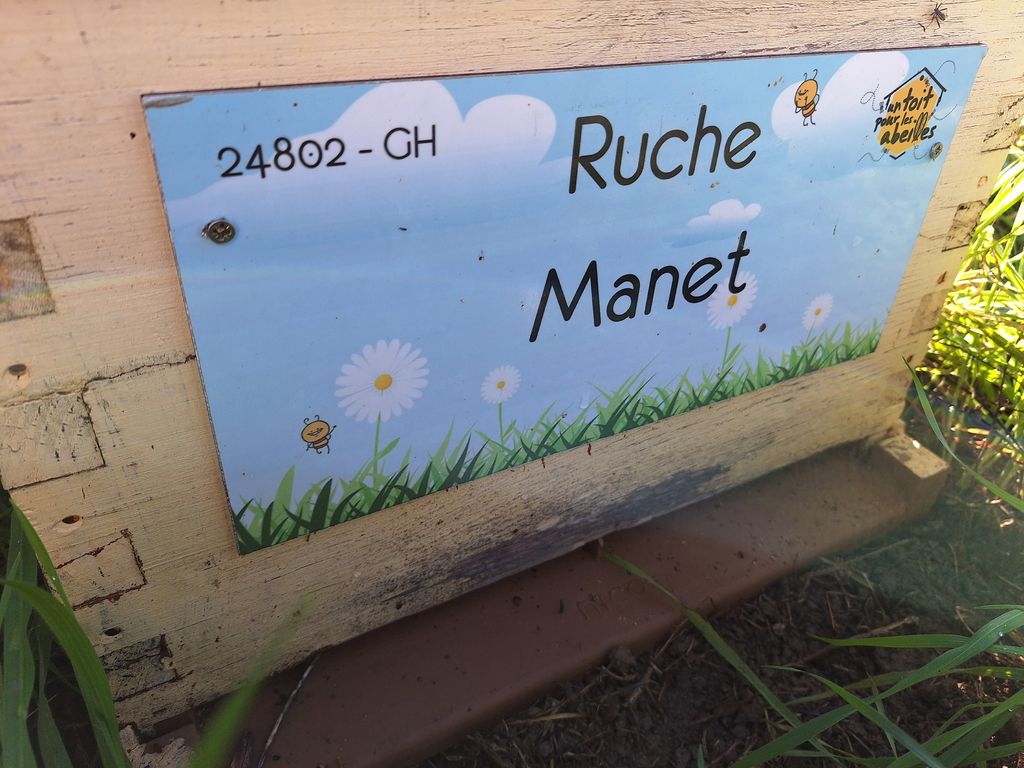 La ruche Manet