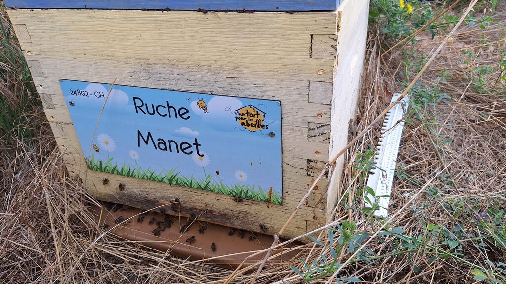 La ruche Manet