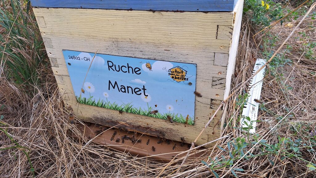 La ruche Manet
