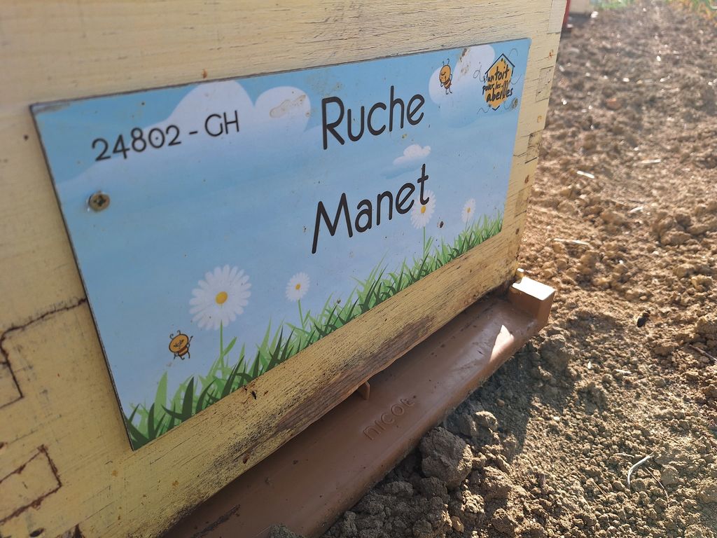 La ruche Manet