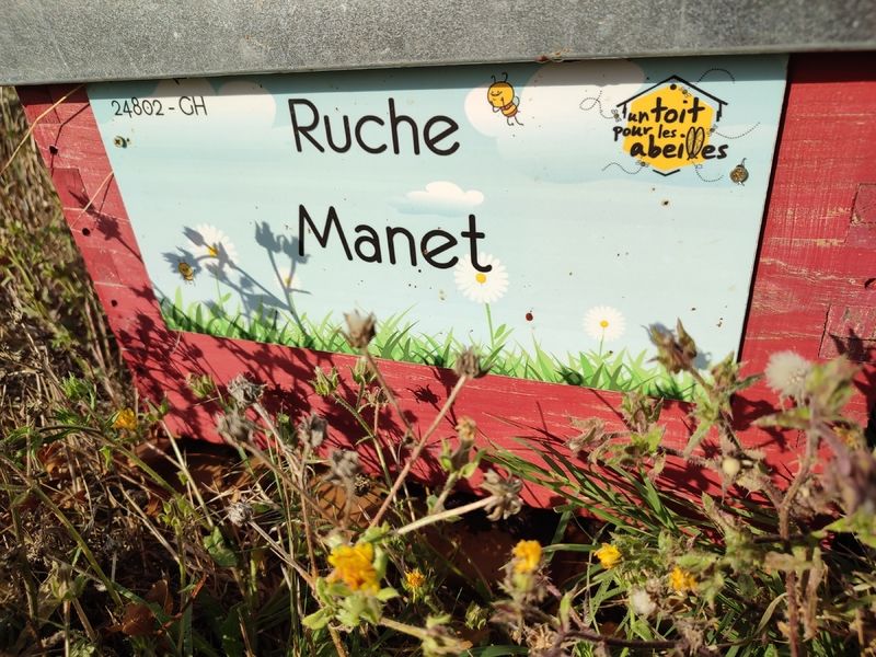 La ruche Manet