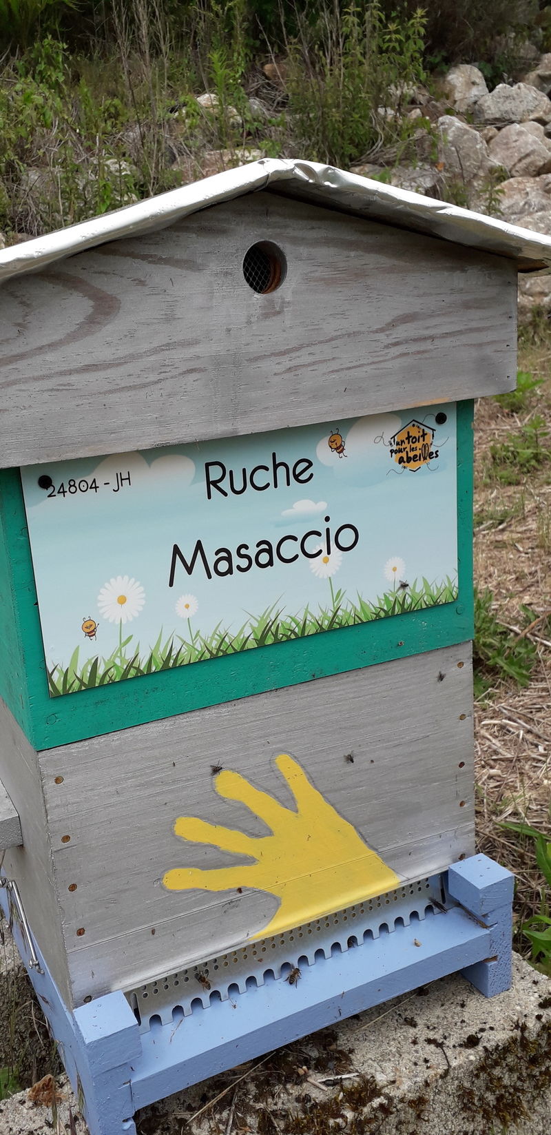 La ruche Masaccio