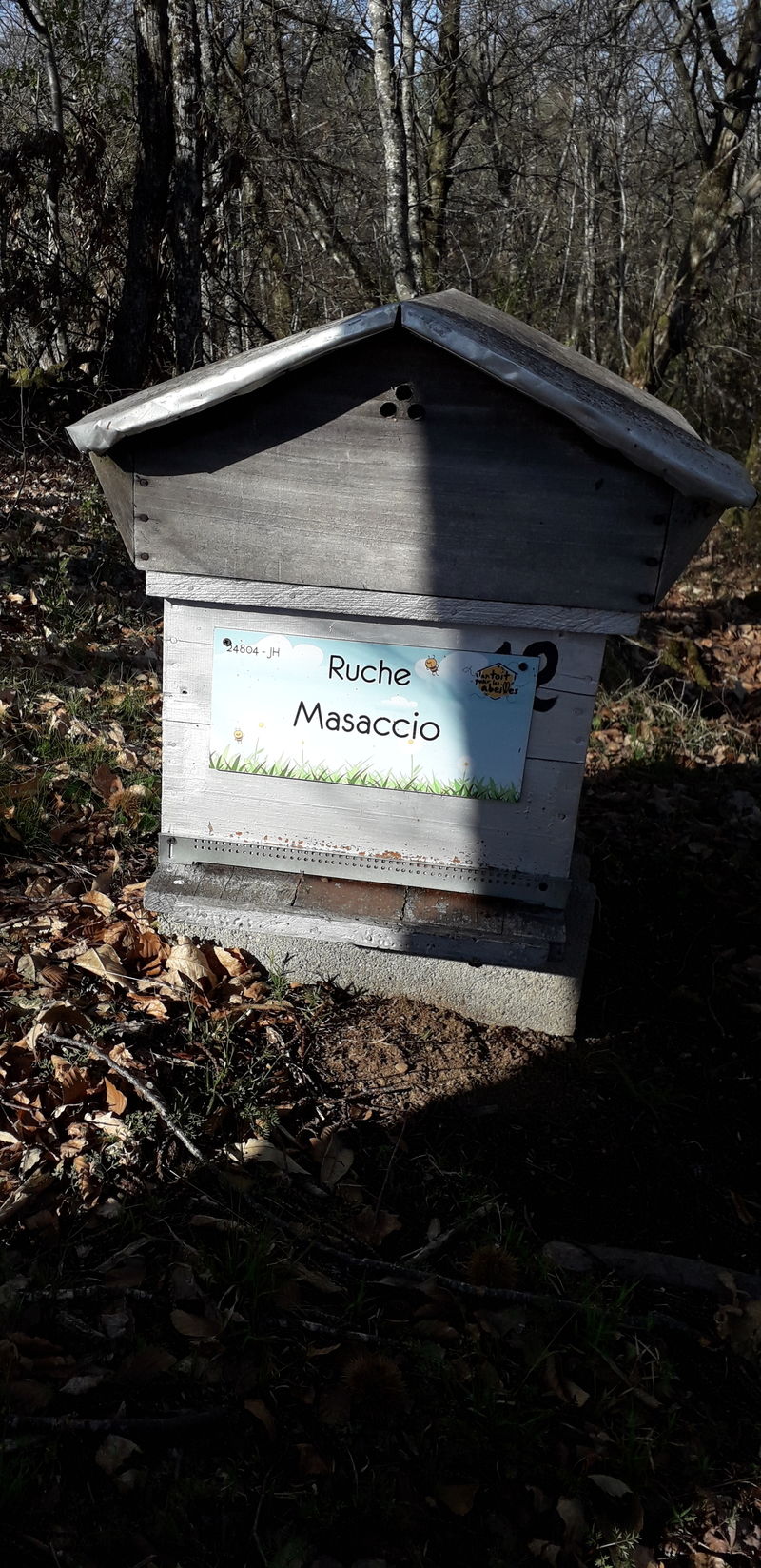 La ruche Masaccio