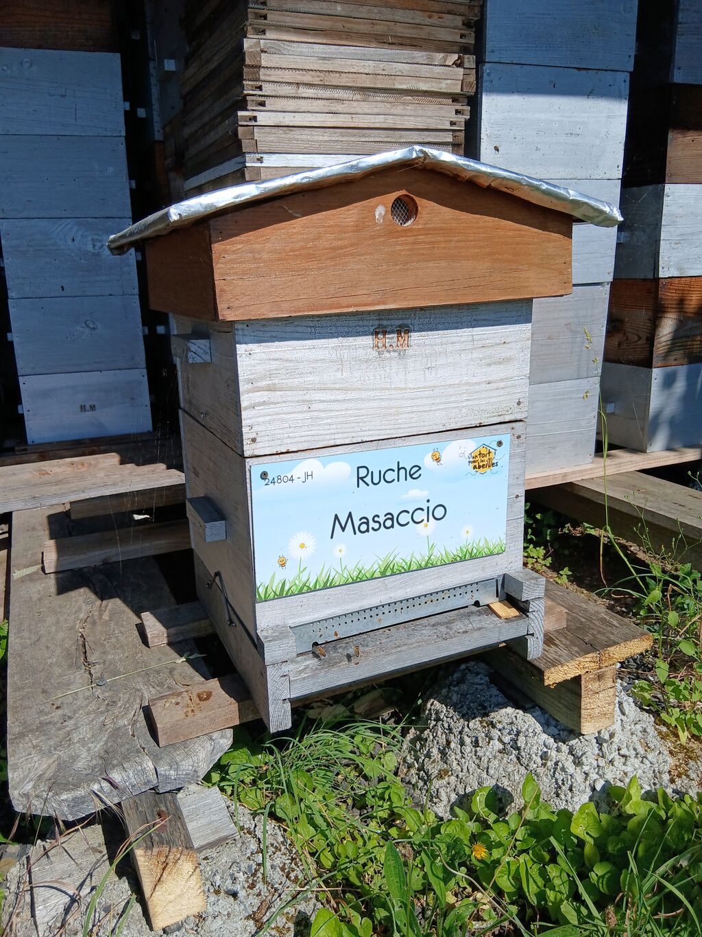 La ruche Masaccio