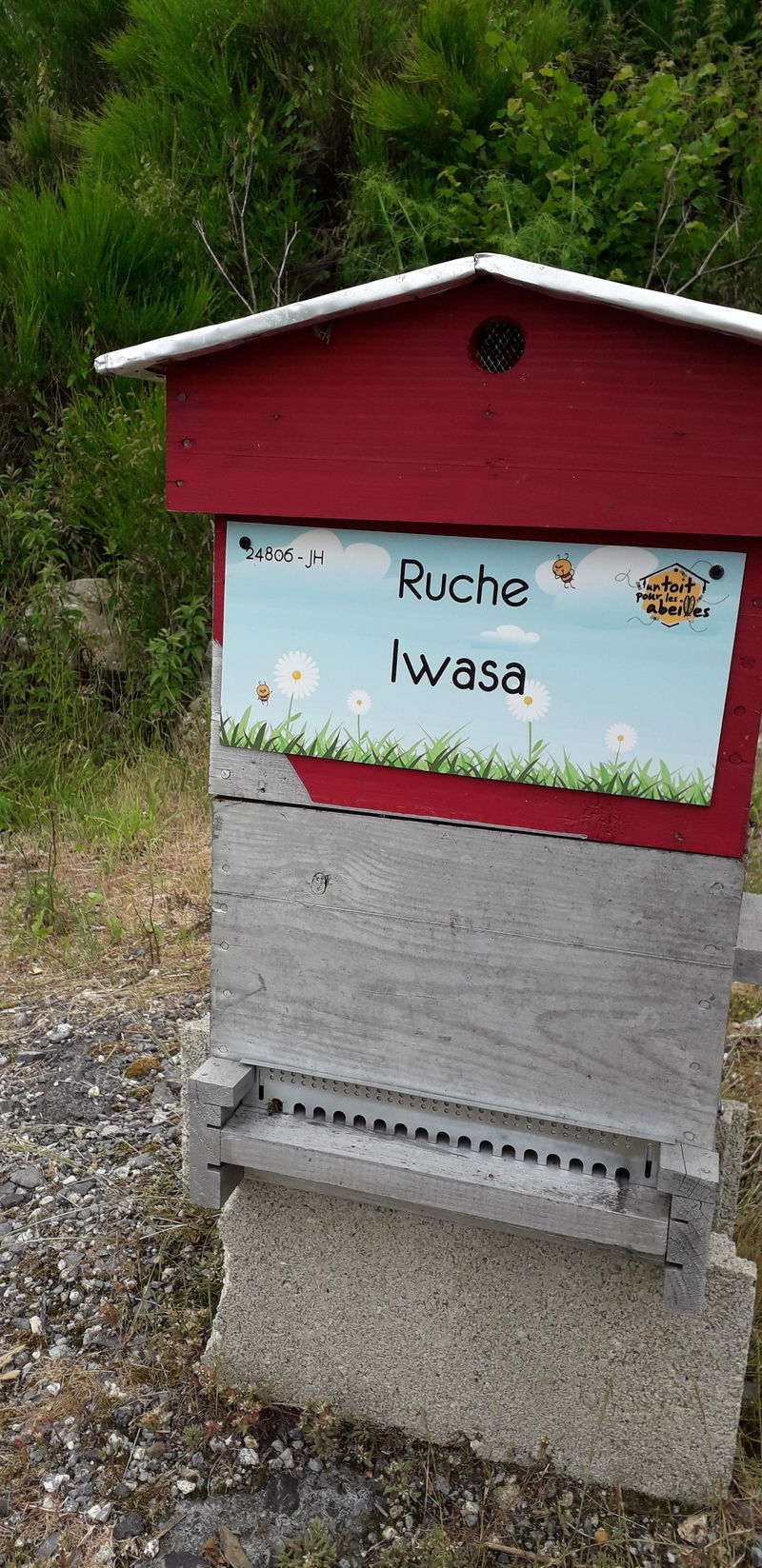 La ruche Iwasa