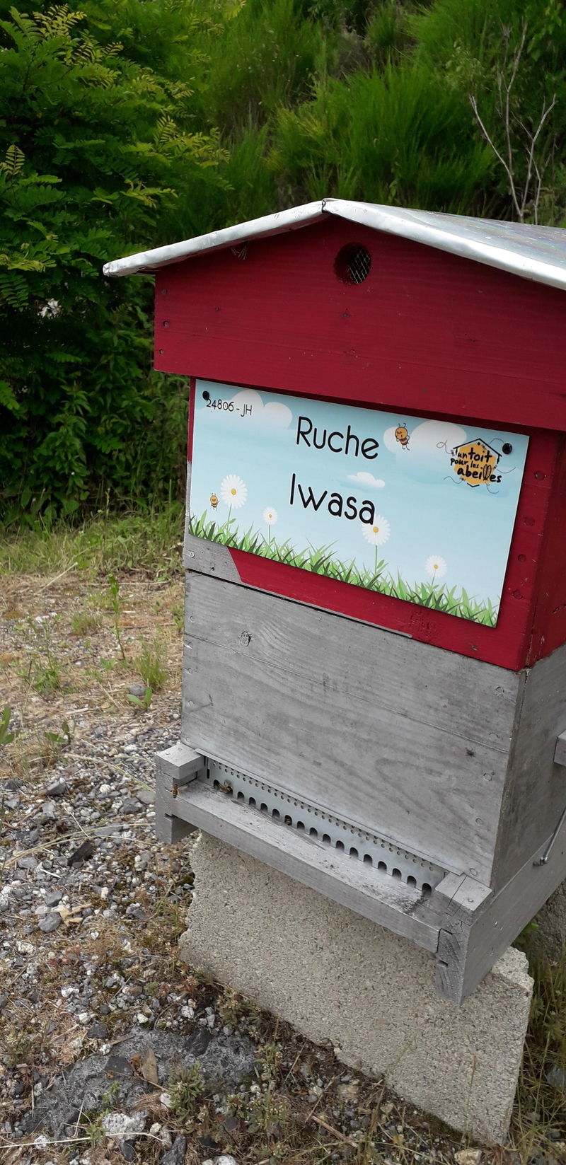 La ruche Iwasa